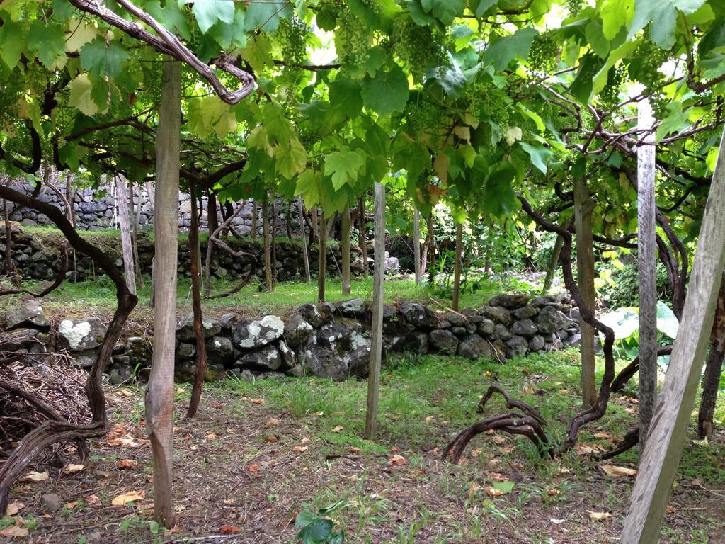 Holidays Madeira São Vicente Dış mekan fotoğraf